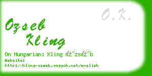 ozseb kling business card